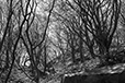 Against the Elements 3
